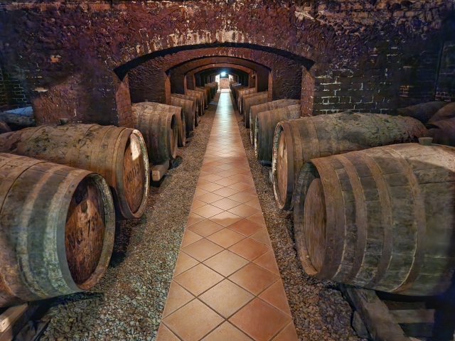 [イメージ] 牛久シャトー